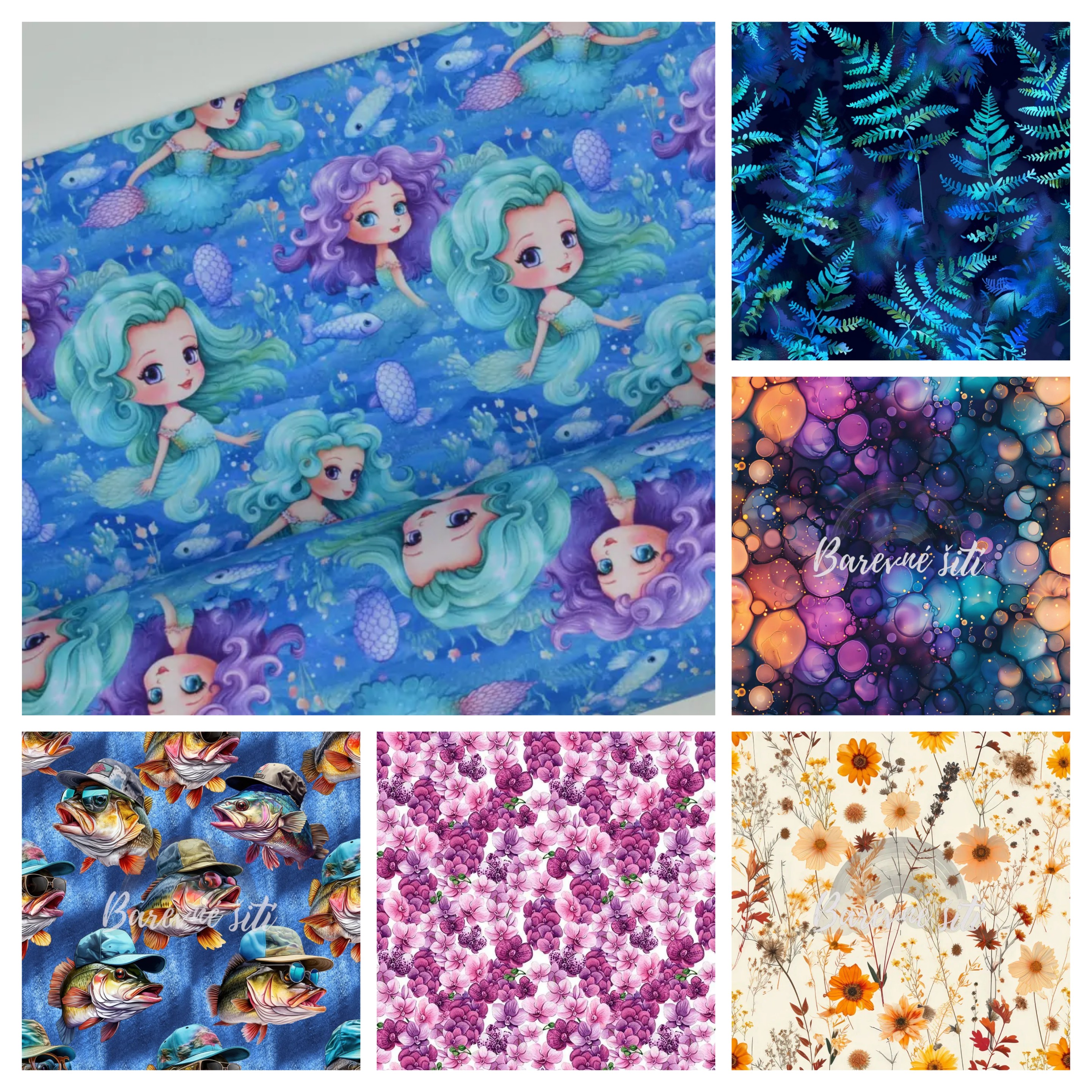 20260131_101532-COLLAGE